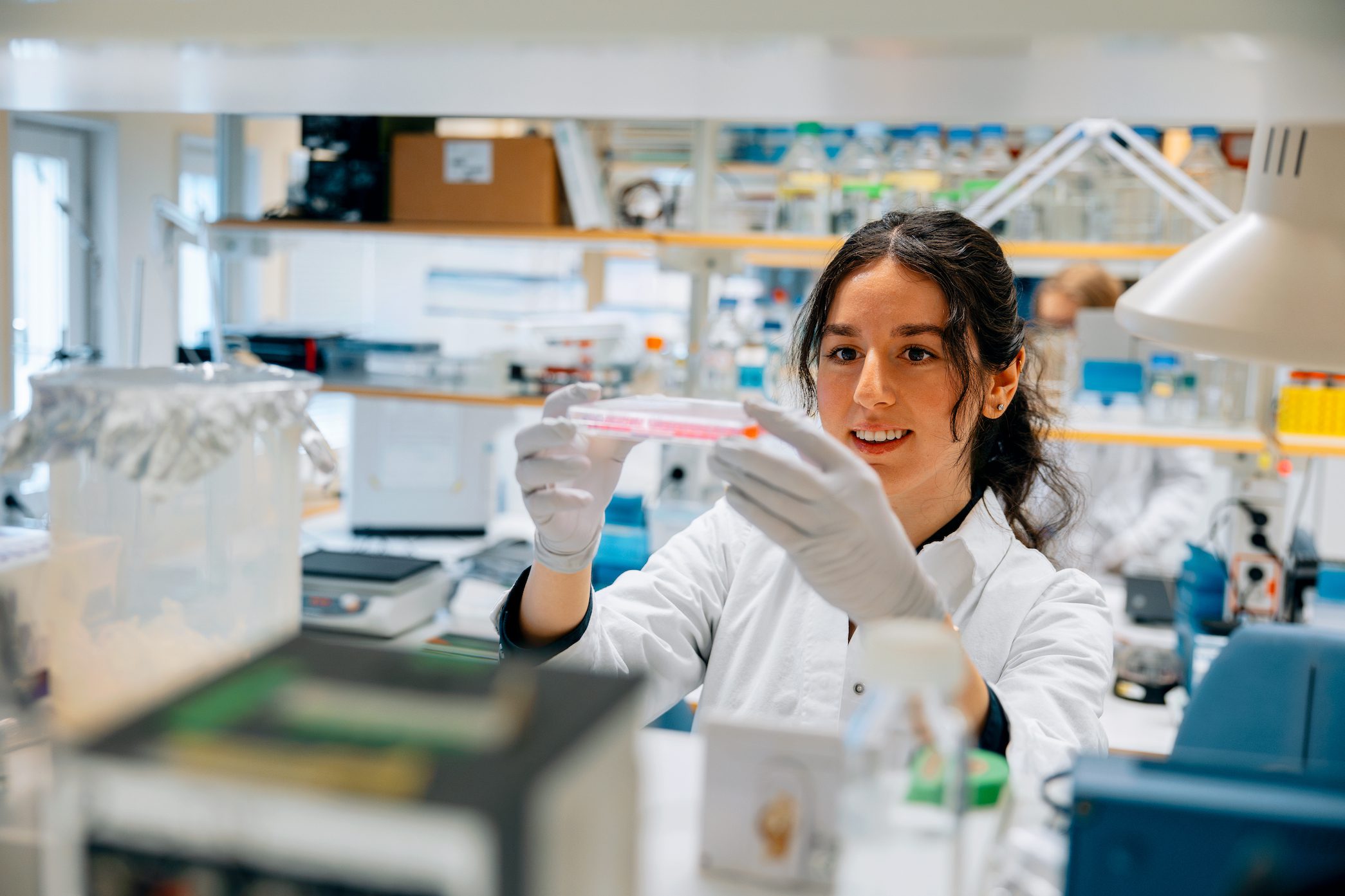 Spännande jobb- och karriärmöjligheter inom Life Science och Biotech i Umeå bild