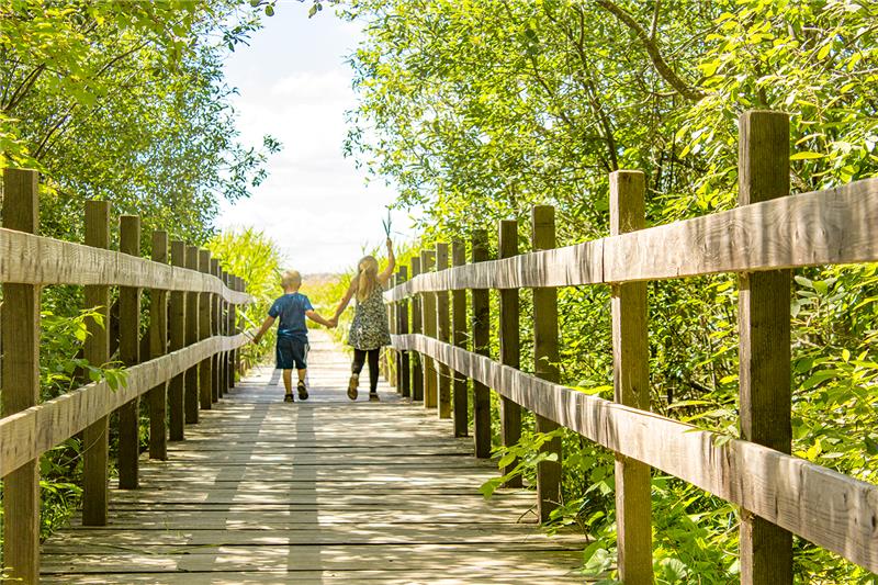 Tema: Sommarens besöksmål – Sommarlov i Vadstena bild