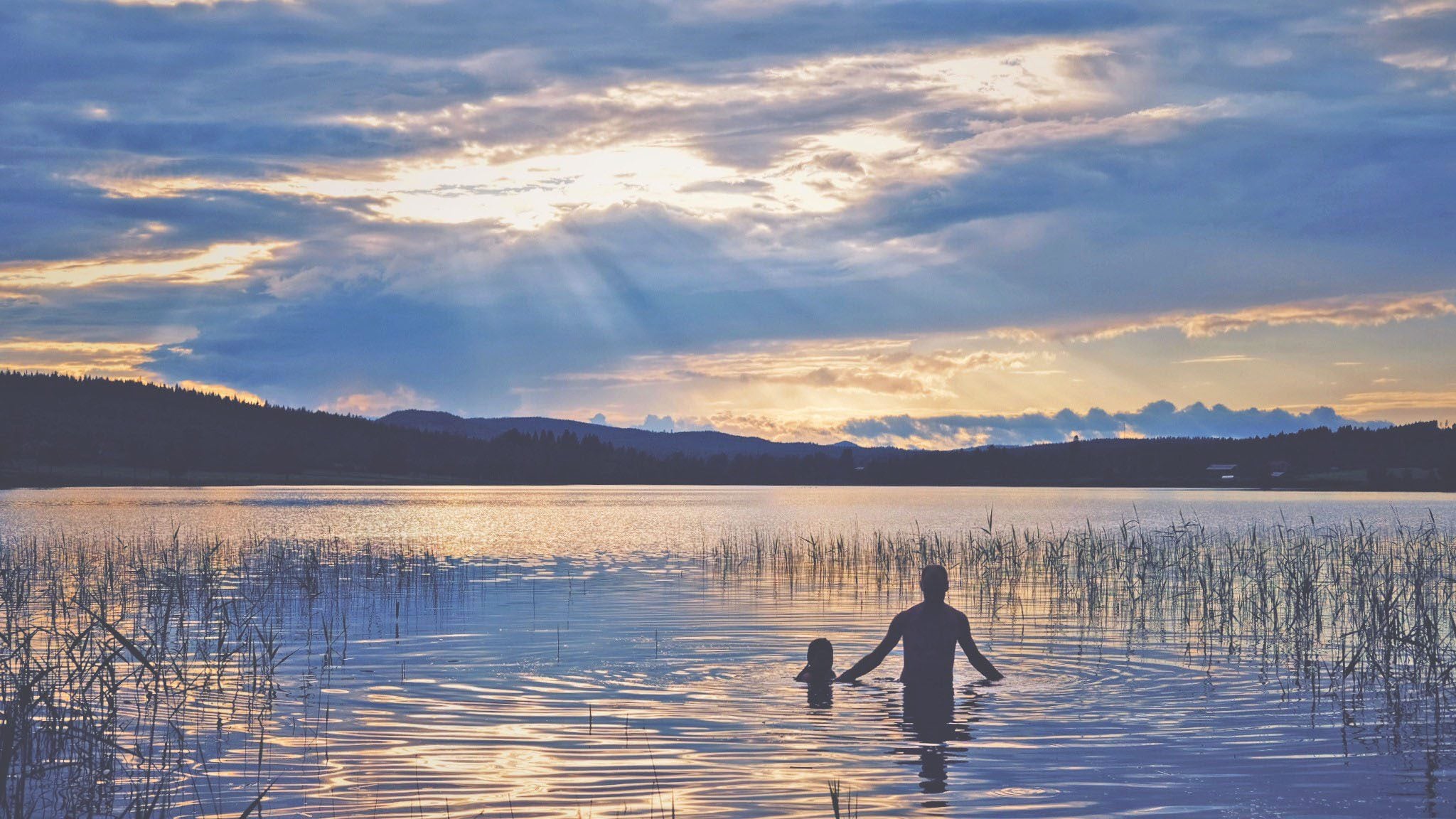 Sommarens bästa familjeupplevelser i Hälsingland – aktiviteter och utflykter för barn bild
